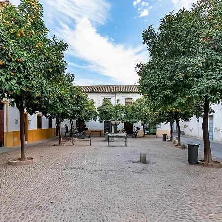 Bhost - Regina Iii * Córdoba