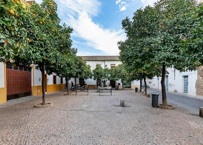 Bhost - Regina Iii * Córdoba